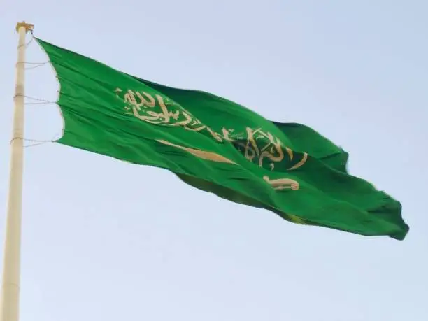 السعودية تجنيس