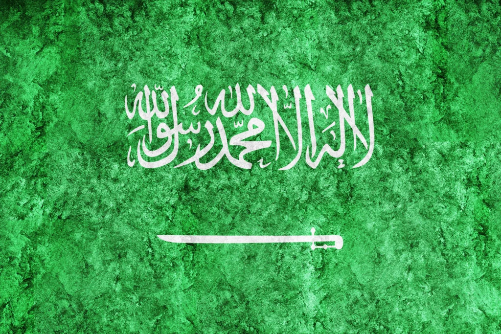 نظام التجنيس السعودي